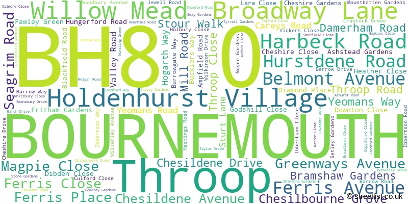 A word cloud for the BH8 0 postcode
